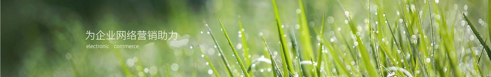 ӿ˹Ƽչ޹˾